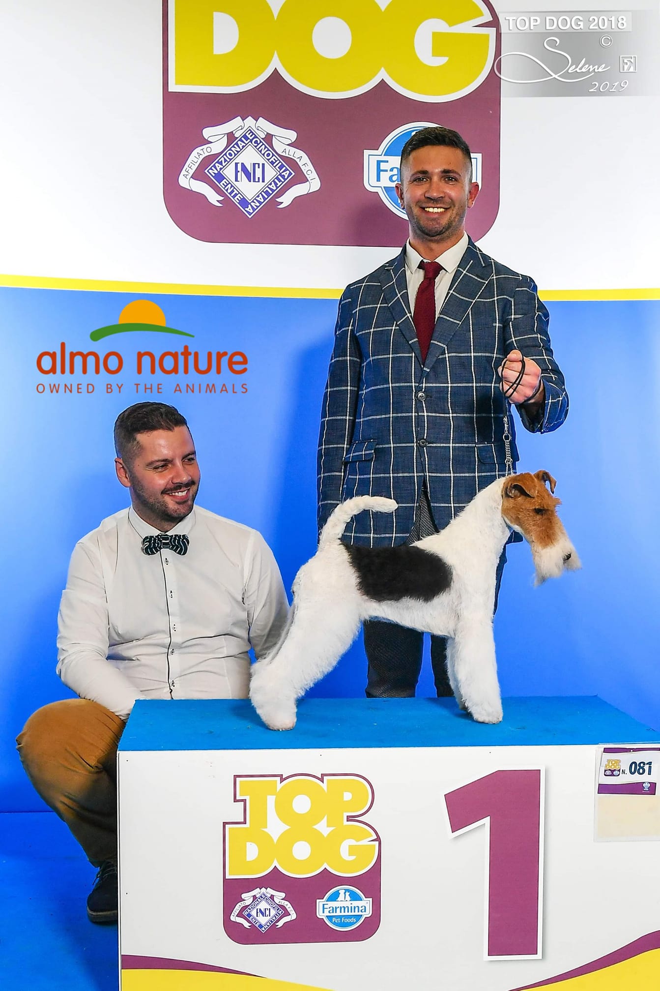Dog Image